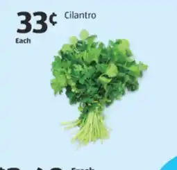 Aldi Cilantro offer