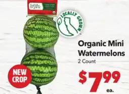 Vallarta Supermarkets Organic Mini Watermelons offer