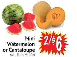 Foodmaxx Mini Watermelon or Cantaloupe offer