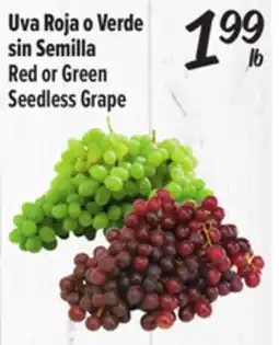 El Super Red or Green Seedless Grape offer