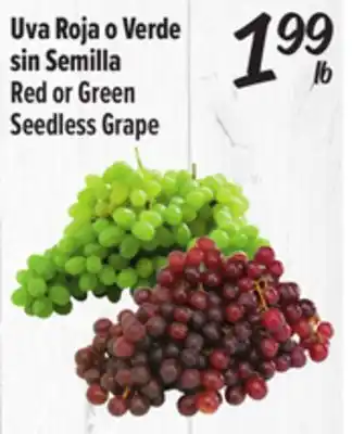 El Super Red or Green Seedless Grape offer