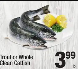 Super King Markets Trout or Whole Clean Catfish offer