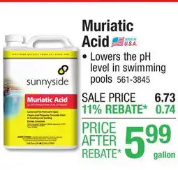 Menards Sunnyside Muriatic Acid - 1 gal offer