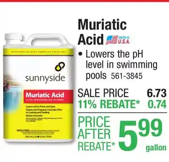 Menards Sunnyside Muriatic Acid - 1 gal offer