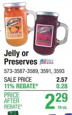 Menards Blackburn's Strawberry Preserves Mug - 18 oz offer