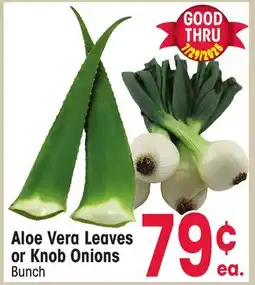 Jewel-Osco Aloe Vera Leaves or Knob Onions offer
