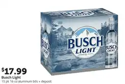 Fareway Busch light offer