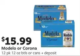 Fareway Modelo or corona offer