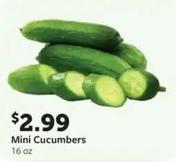 Fareway Mini cucumbers offer