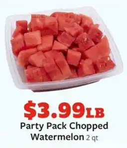 Fareway Party pack chopped watermelon offer