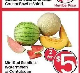 Albertsons Mini Red Seedless Watermelon or Cantaloupe - Member Price: $2.50 ea offer