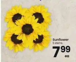 Albertsons Sunflower - 5 stems offer