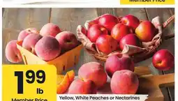 Albertsons Yellow, White Peaches or Nectarines offer