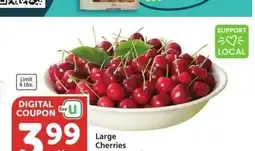Albertsons Large Cherries - Member Price: $5.99 lb offer