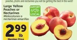 Albertsons Large Yellow Peaches or Nectarines - Melocotones o nectarinas amarillas offer
