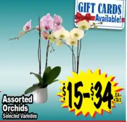 Superior Grocers Assorted Orchids offer