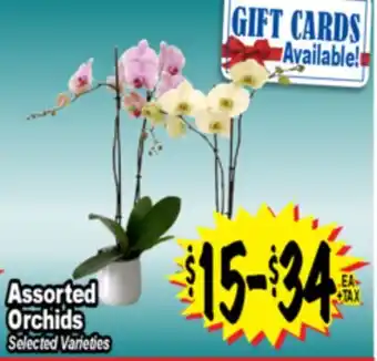 Superior Grocers Assorted Orchids offer
