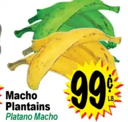 Superior Grocers Macho Plantains offer