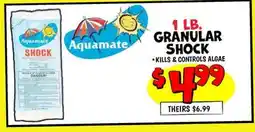 Ollie's Aquamate 1 LB. GRANULAR SHOCK offer
