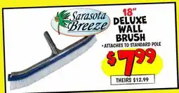 Ollie's 18 DELUXE WALL BRUSH offer