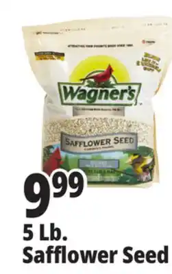 Ocean State Job Lot Wagner's Safflower Seed Deluxe Wild Bird Food offer