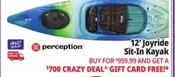 Ocean State Job Lot Perception Joyride 12.0 Recreational Kayak Deja Vu offer