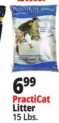 Ocean State Job Lot Premium Scoopable Cat Litter 15 lbs offer