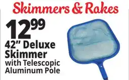 Ocean State Job Lot SwimWorks Leaf Skimmer with Telescopic Pole offer
