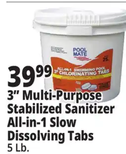 Ocean State Job Lot Pool Mate All-In-One 3 Chlorinating Tabs 5 lbs offer