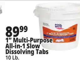 Ocean State Job Lot 1 Multi-Purpose All-in-1 Slow Dissolving Tabs offer