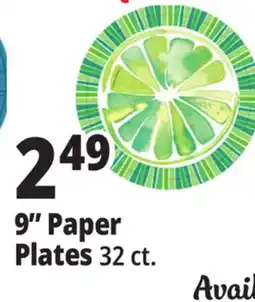 Ocean State Job Lot 9 Paper Plates offer
