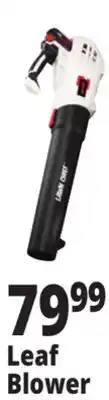 Ocean State Job Lot Leaf Blower offer