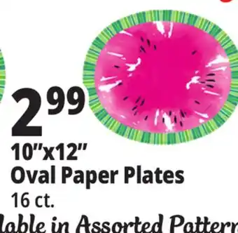 Ocean State Job Lot 10x12 Oval Paper Plates offer