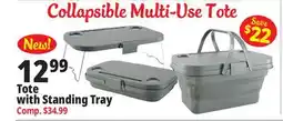 Ocean State Job Lot Tote with Standing Tray offer