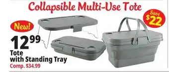 Ocean State Job Lot Tote with Standing Tray offer
