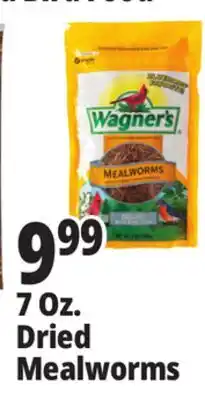 Ocean State Job Lot 7 Oz. Dried Mealworms offer