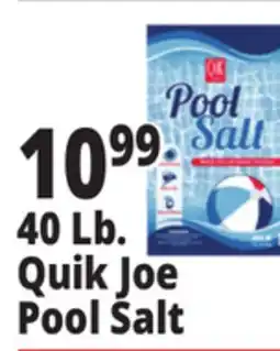 Ocean State Job Lot Pool Salt 40 lbs offer