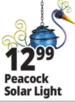 Ocean State Job Lot Peacock Solar Light offer