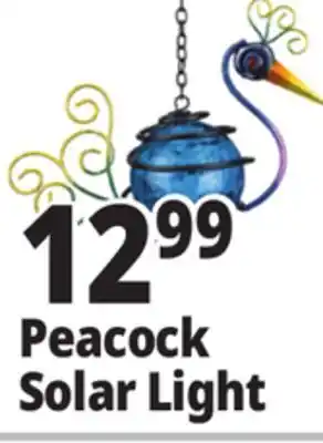 Ocean State Job Lot Peacock Solar Light offer