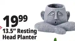 Ocean State Job Lot 13.5 Resting Head Planter offer