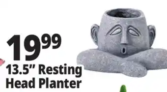 Ocean State Job Lot 13.5 Resting Head Planter offer