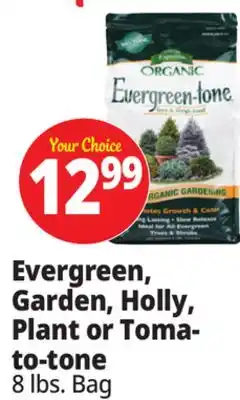 Ocean State Job Lot Evergreen, Garden, Holly, Plant or Toma- to-tone offer
