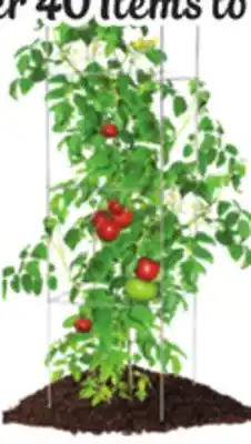 Ocean State Job Lot Folding Tomato Tower 46 offer