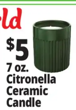 Ocean State Job Lot 7 oz. Citronella Ceramic Candle offer