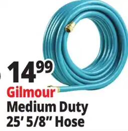 Ocean State Job Lot Gilmour Medium Duty 25' 5/8 Hose offer