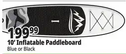 Ocean State Job Lot 10' Inflatable Paddleboard offer