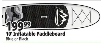 Ocean State Job Lot 10' Inflatable Paddleboard offer