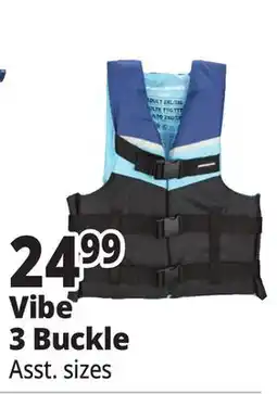 Ocean State Job Lot Vibe 3 Buckle offer
