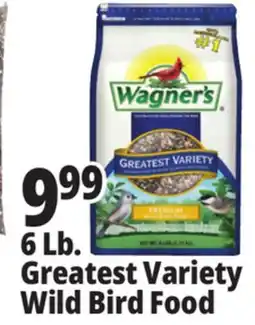 Ocean State Job Lot Wagner's Greatest Variety Deluxe Wild Bird Food 6 lbs offer