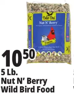 Ocean State Job Lot Better Bird Premium Nut N' Berry Bird Food 5 lbs offer